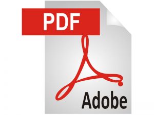downloads-pdf-icon-hostshop